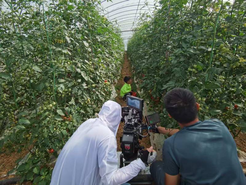 河西区产品宣传视频拍摄公司进阶指南，助力品牌抢占传播高地